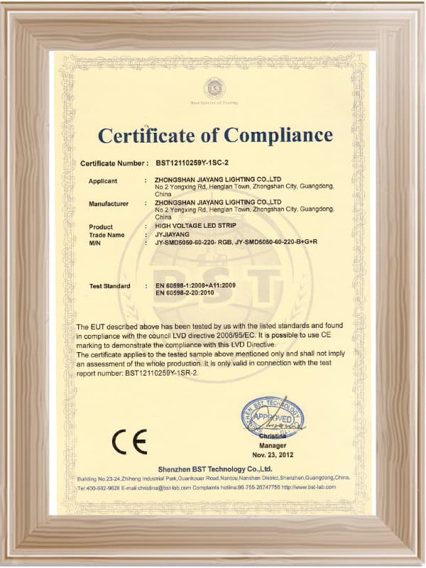 High Voltage Light with CE Certificate - 1