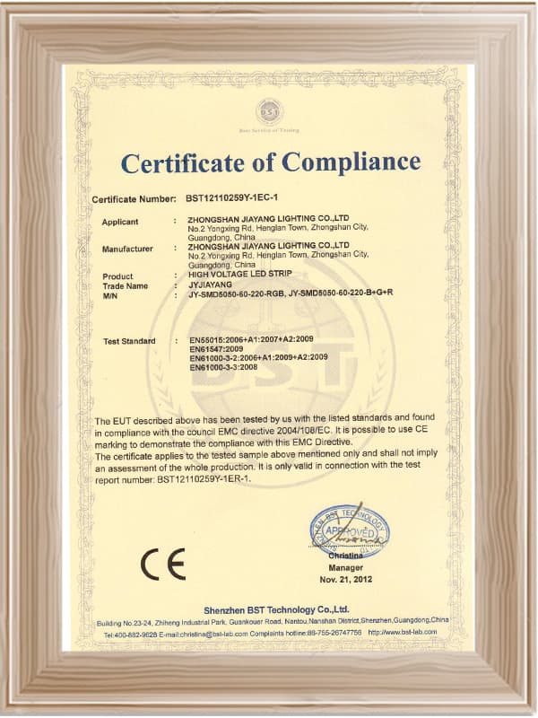 High Voltage Light with CE Certificate - 2