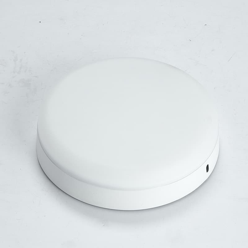 Frameless Panel Light (round)