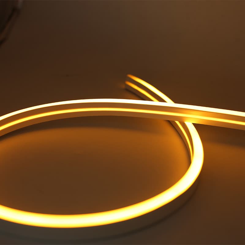 Neon Strips
