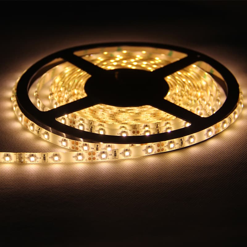 LED low voltage strip light